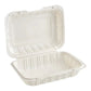 *WHOLESALE* 9"X6" Eco Friendly Food Container w/ Clamshell Hinged Lid 150ct/case