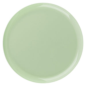 The Edge Collection 10" Mint Green Round High-End Plastic Plates