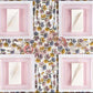 The Edge Collection 10.75" Transparent  Pink with Gold Rim Square Plastic Dinner Plates