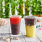 *WHOLESALE* 20oz Disposable Plastic Clear PET Cups | 600 ct/Case