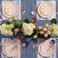 *BUY BULK* Orchid Collection  Antique Turquoise & Gold Disposable Plastic Dinner Tableware COMBO Set