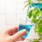 Translucent Plastic Medical/Bathroom Cups 3oz.